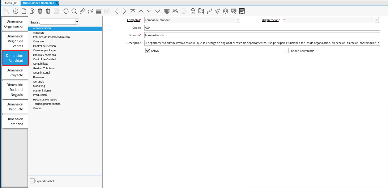 Pestaña Dimensión Actividad