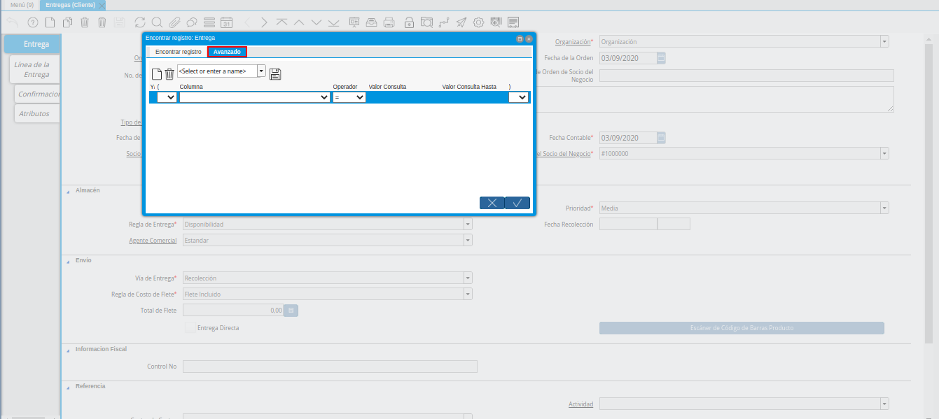 Pestaña Avanzado de la Ventana Encontrar Registro Entrega