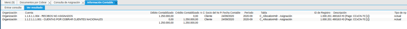 Asiento Contable de la Ventana Consulta de Asignación