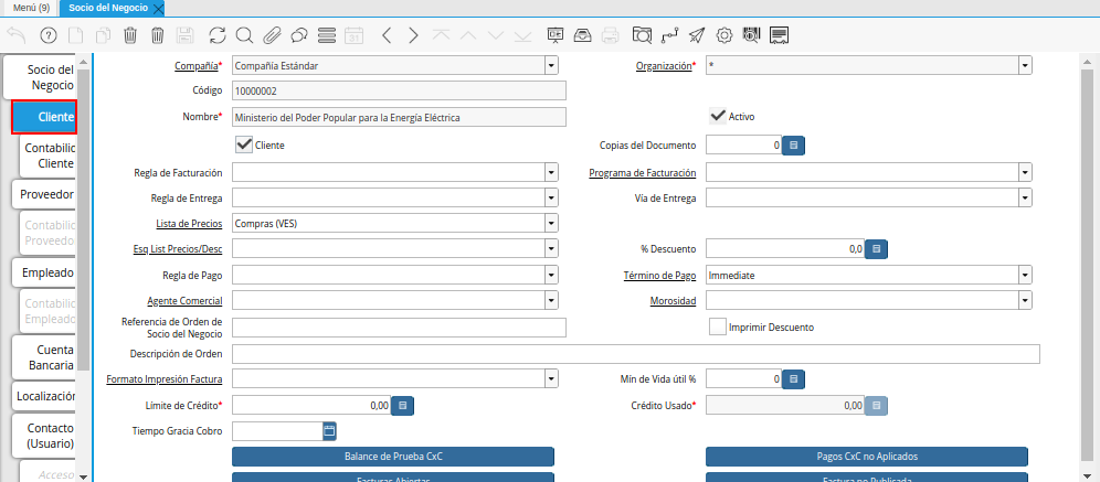 Pestaña Cliente de la Ventana Socio del Negocio