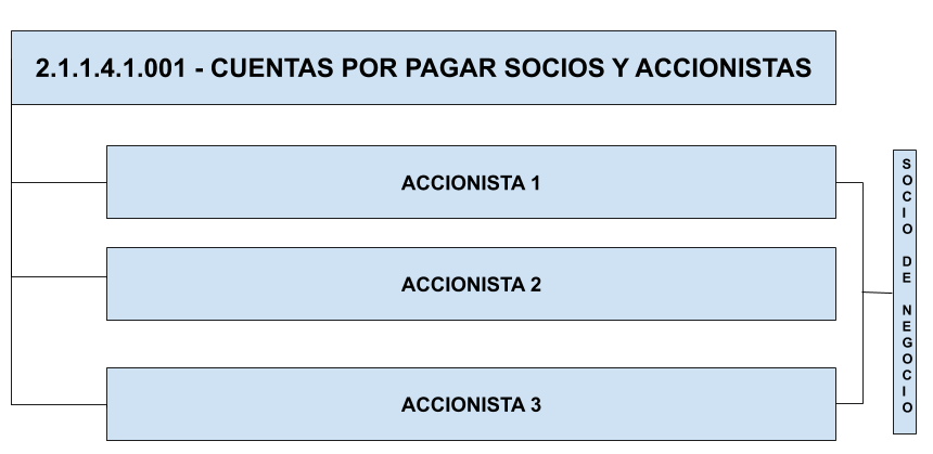 Dimensión Socio de Negocio