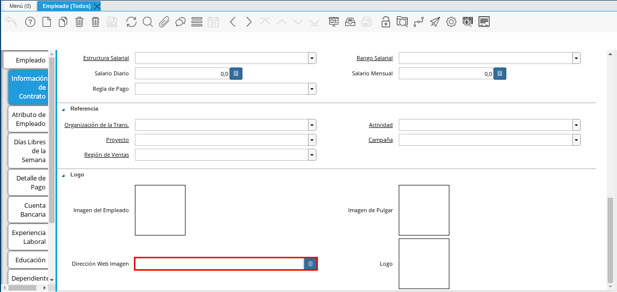 Campo Dirección Web2