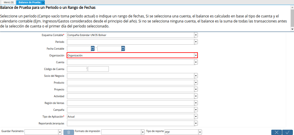 Campo Organización de la Ventana Balance de Prueba
