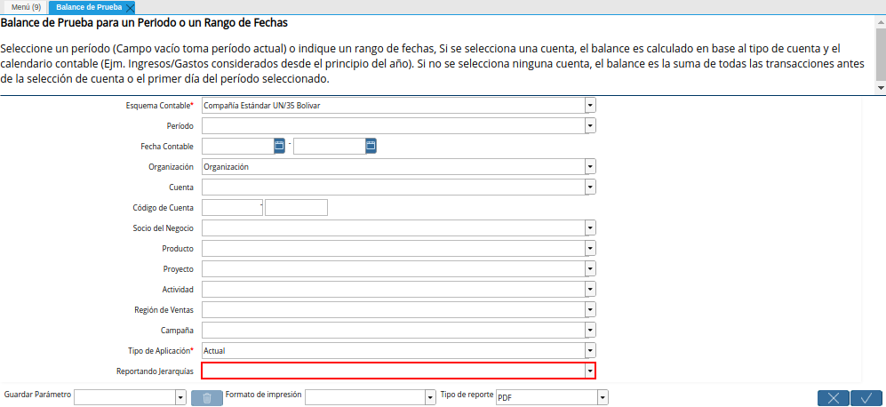 Campo Reportando Jerarquías de la Ventana Balance de Prueba