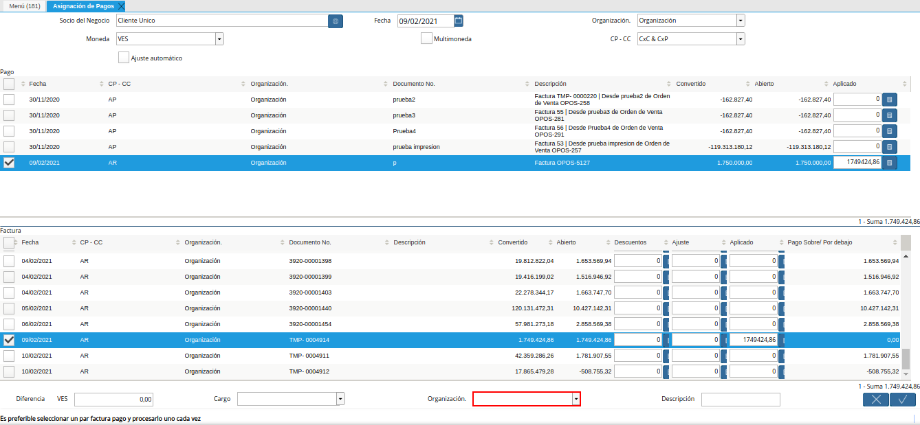 campo organización para generar de la ventana asignación de pagos