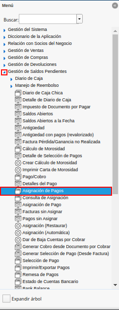 menú de asignación de pagos