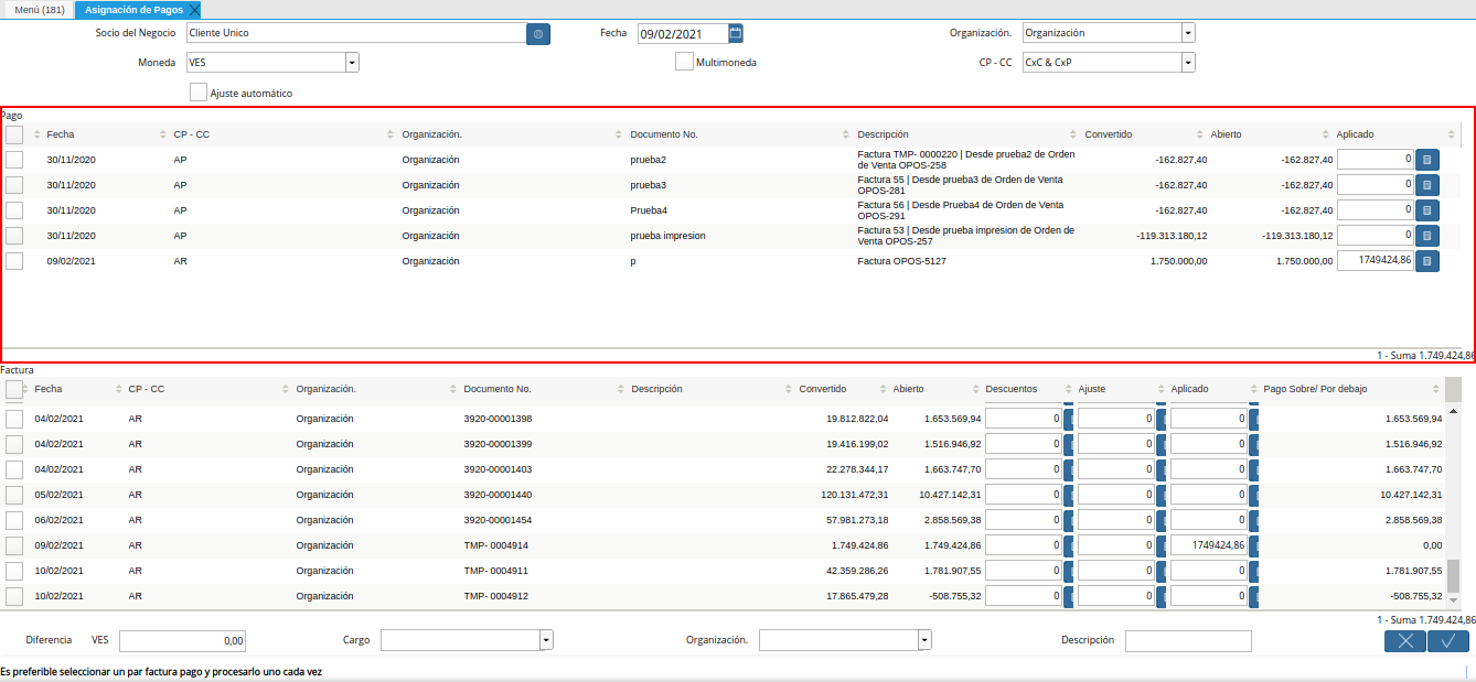 panel pago de la ventana asignación de pagos