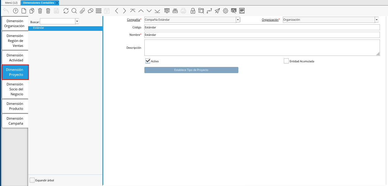 Pestaña Dimensión Proyecto