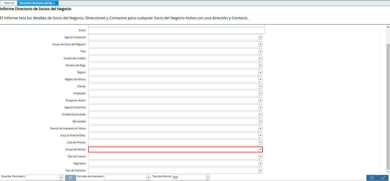 campo grupo de ventas del reporte directorio de socios del negocio