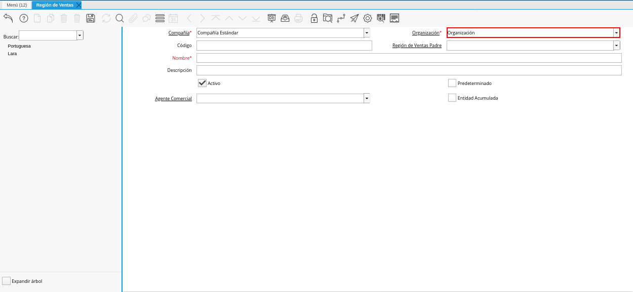 Campo Organización de la Ventana Región de Ventas