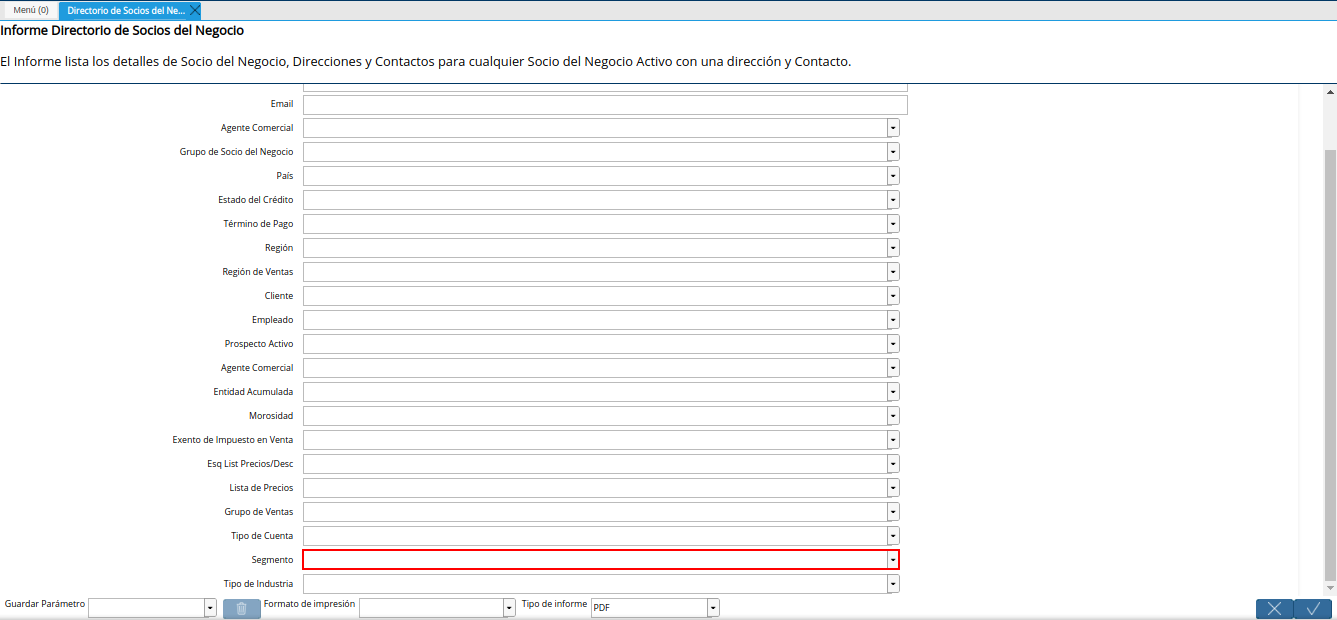 campo segmento del reporte directorio de socios del negocio