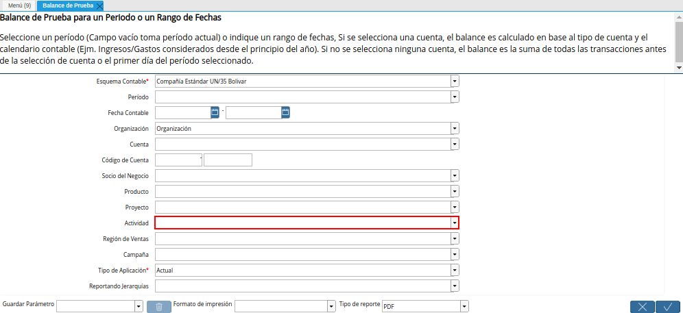 Campo Actividad de la Ventana Balance de Prueba