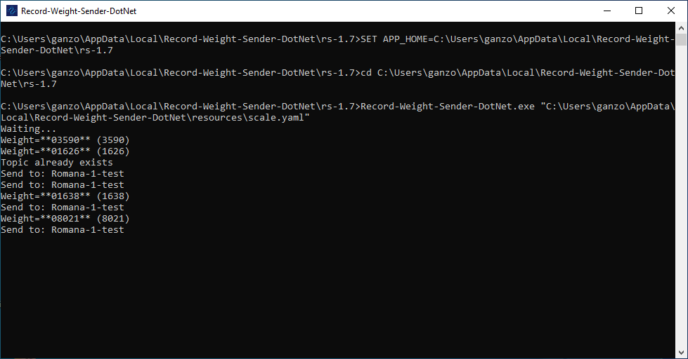 Ejecutar Aplicación