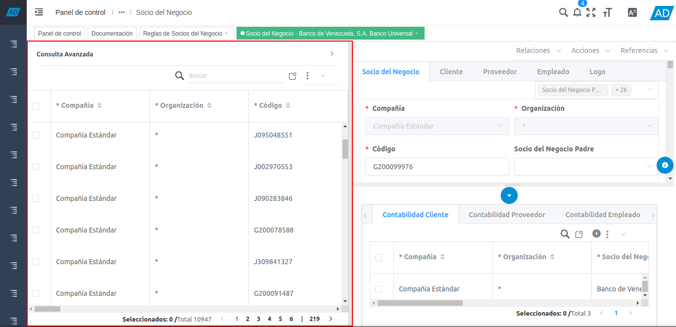 panel de consulta avanzada del socio del negocio