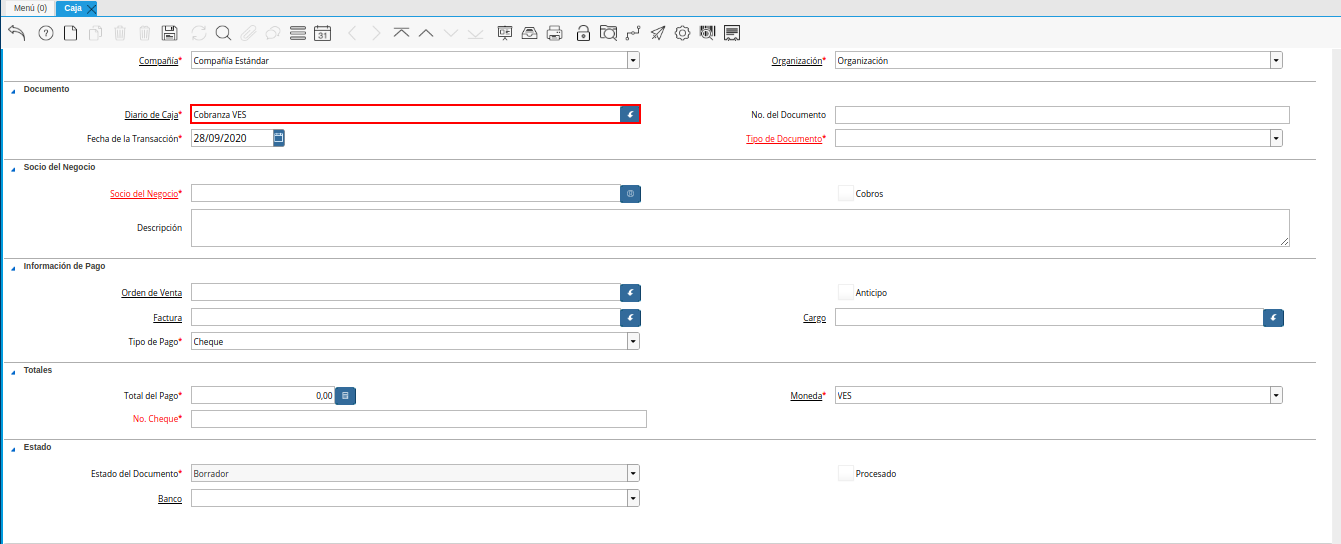 campo diario de caja