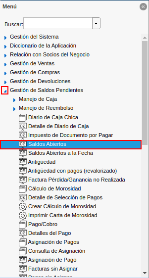 menú de reporte de saldos abiertos