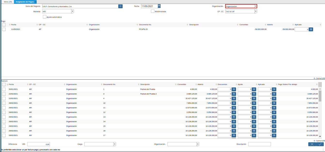 campo organización de la ventana asignación de pagos