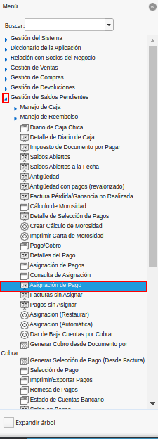 menú del reporte asignación de pago