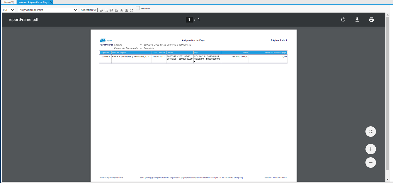 reporte de asignación de pagos