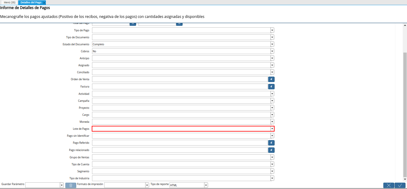 campo lote de pagos del reporte detalles del pago
