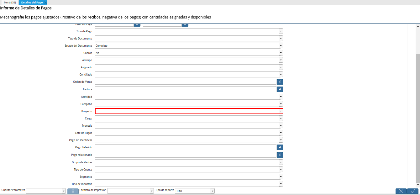 campo proyecto del reporte detalles del pago
