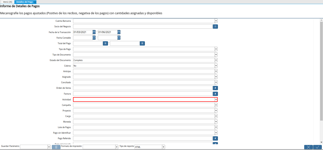 campo actividad del reporte detalles del pago