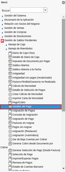 menú de reporte detalles del pago