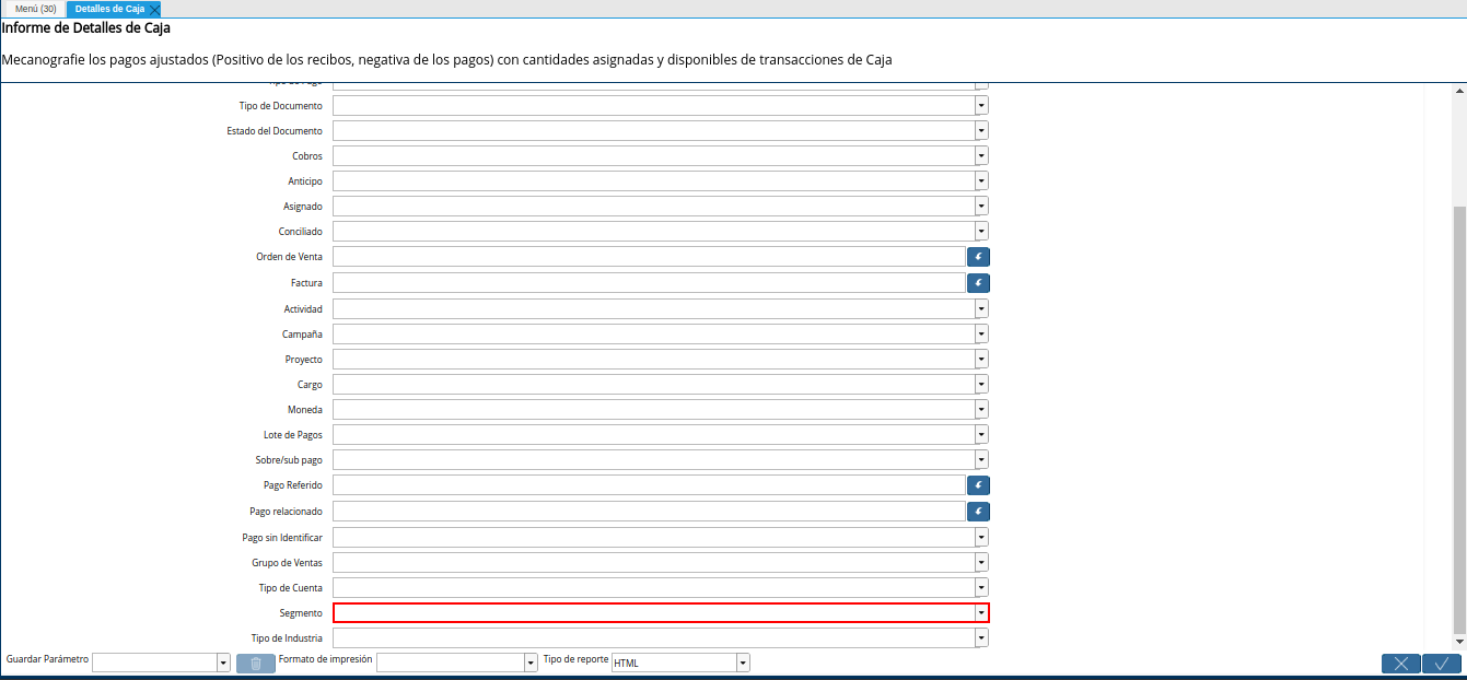 campo segmento del reporte detalle de caja
