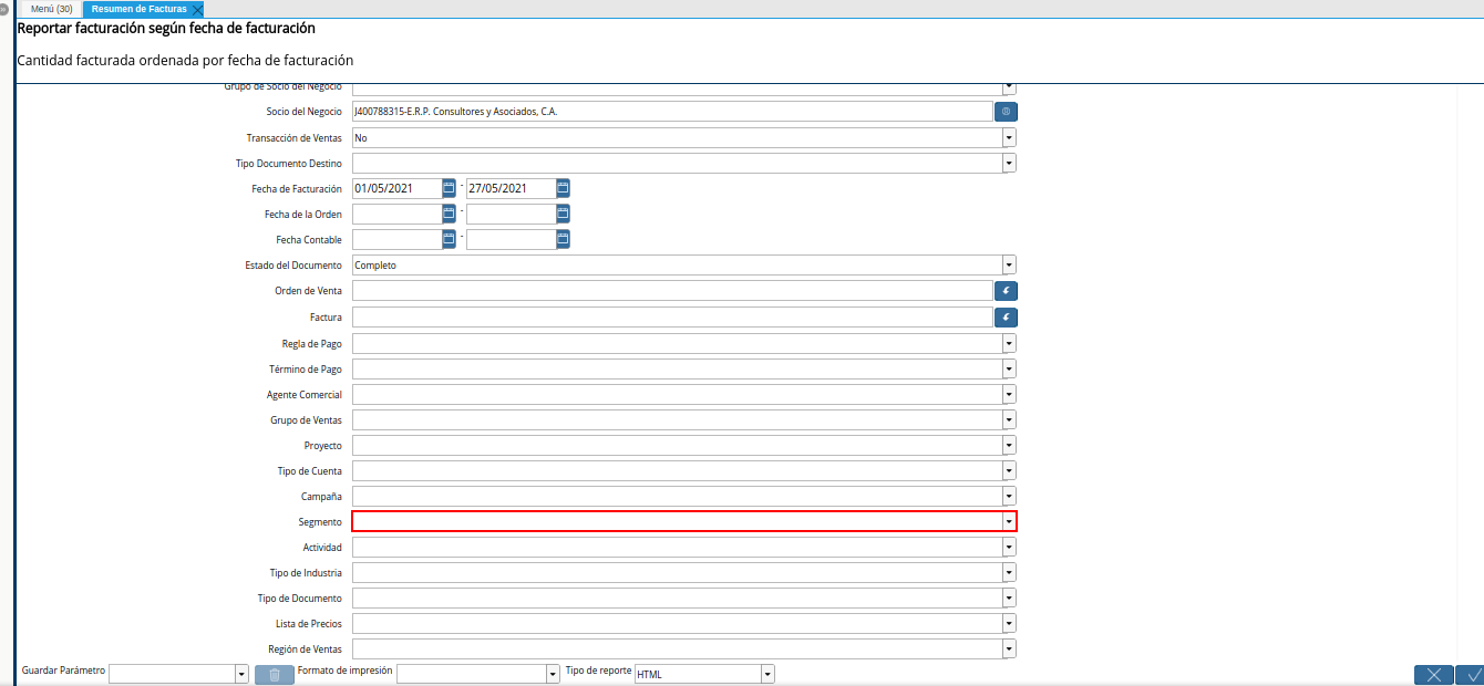 campo segmento del reporte resumen de facturas
