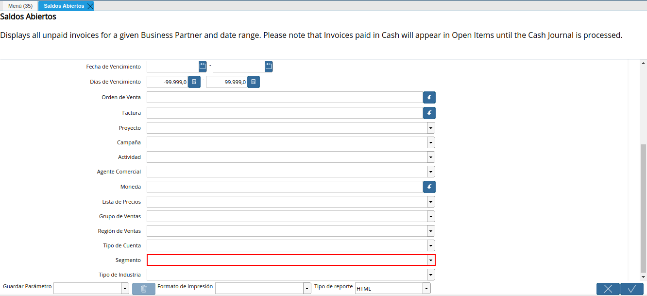 campo segmento del reporte de saldos abiertos