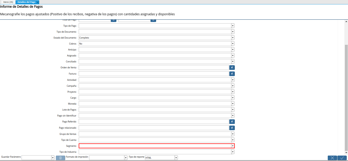 campo segmento del reporte detalles del pago