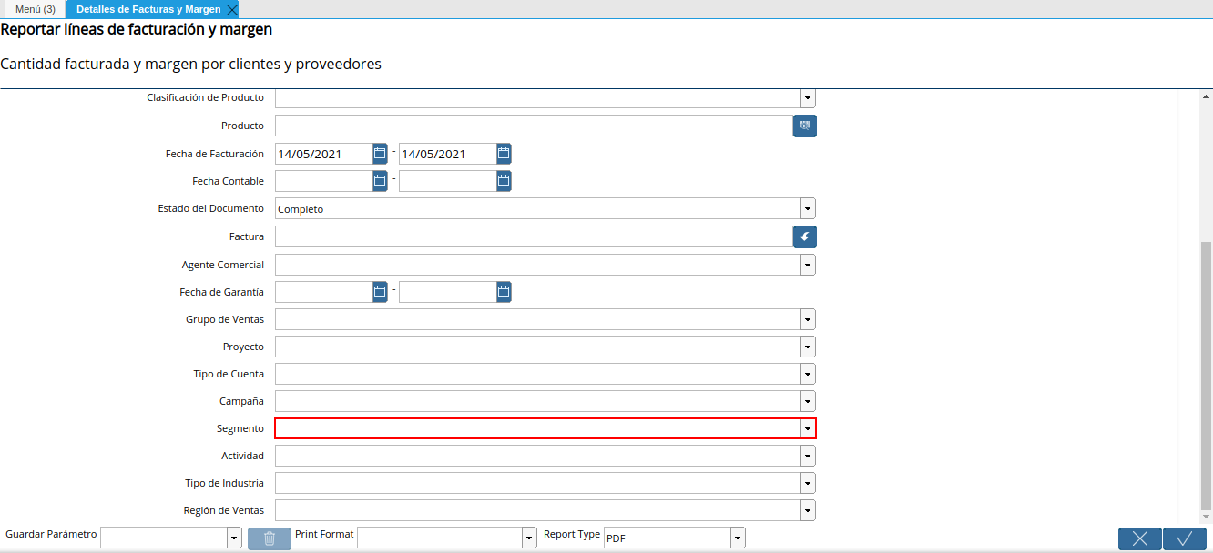 campo segmento del reporte detalles de facturas y margen