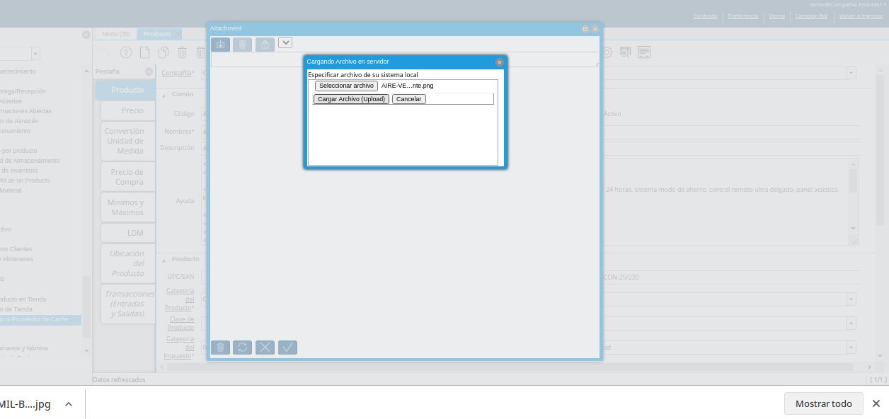 opción cargar archivo