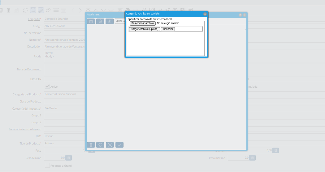 ventana cargando archivo en servidor
